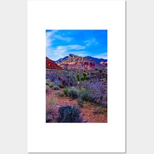 Red Rock Calico Basin 2 Posters and Art